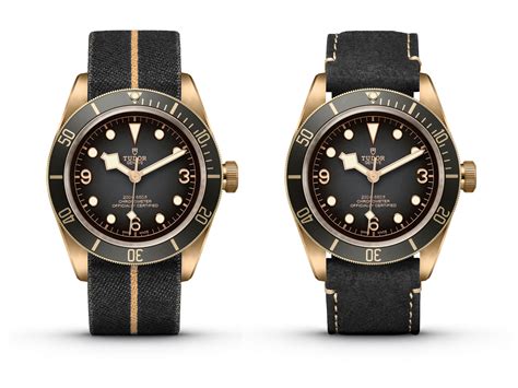 referenze hot tudor 2019|Explore The New 2019 Watches From Tudor.